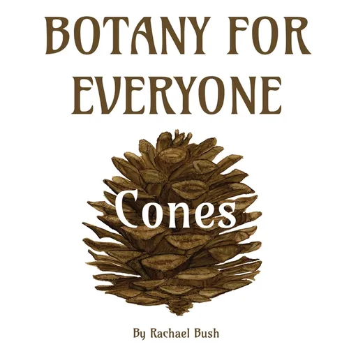 Botany for Everyone: Cones