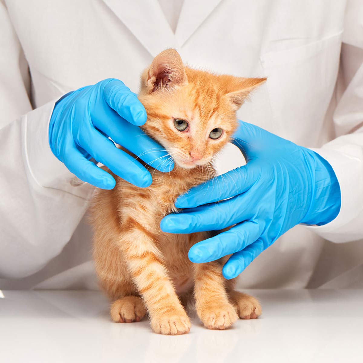 Gloves, Nitrile Medium - 100 per box
