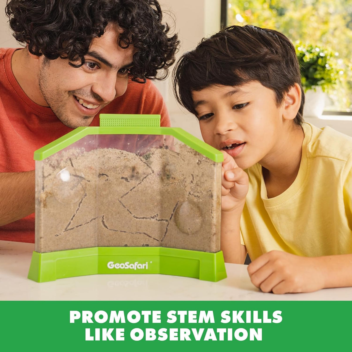 3D STEM Ant Farm