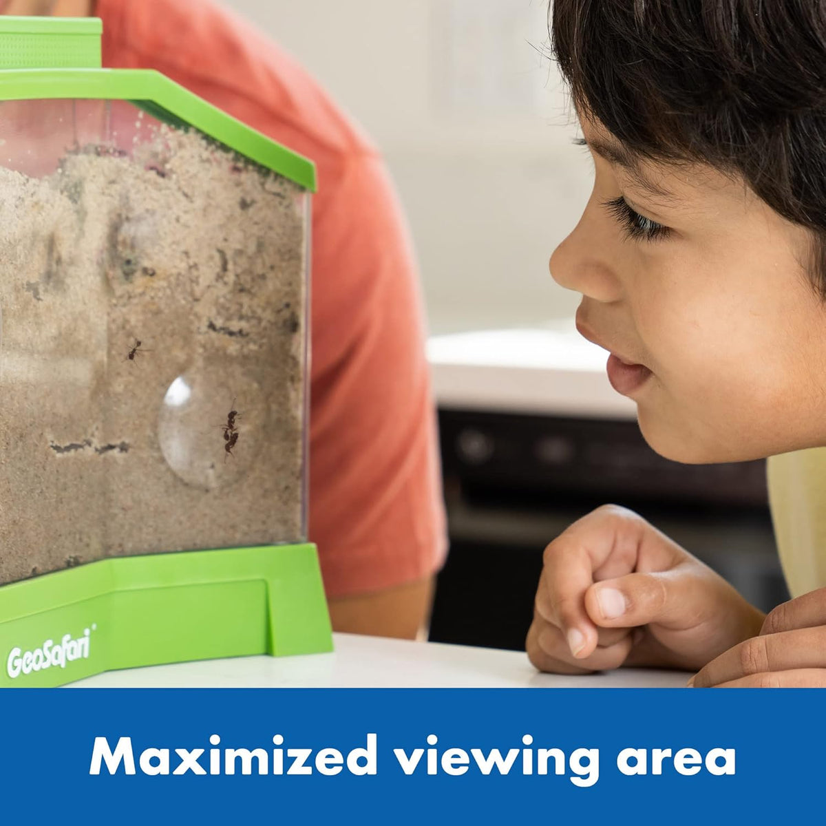 3D STEM Ant Farm