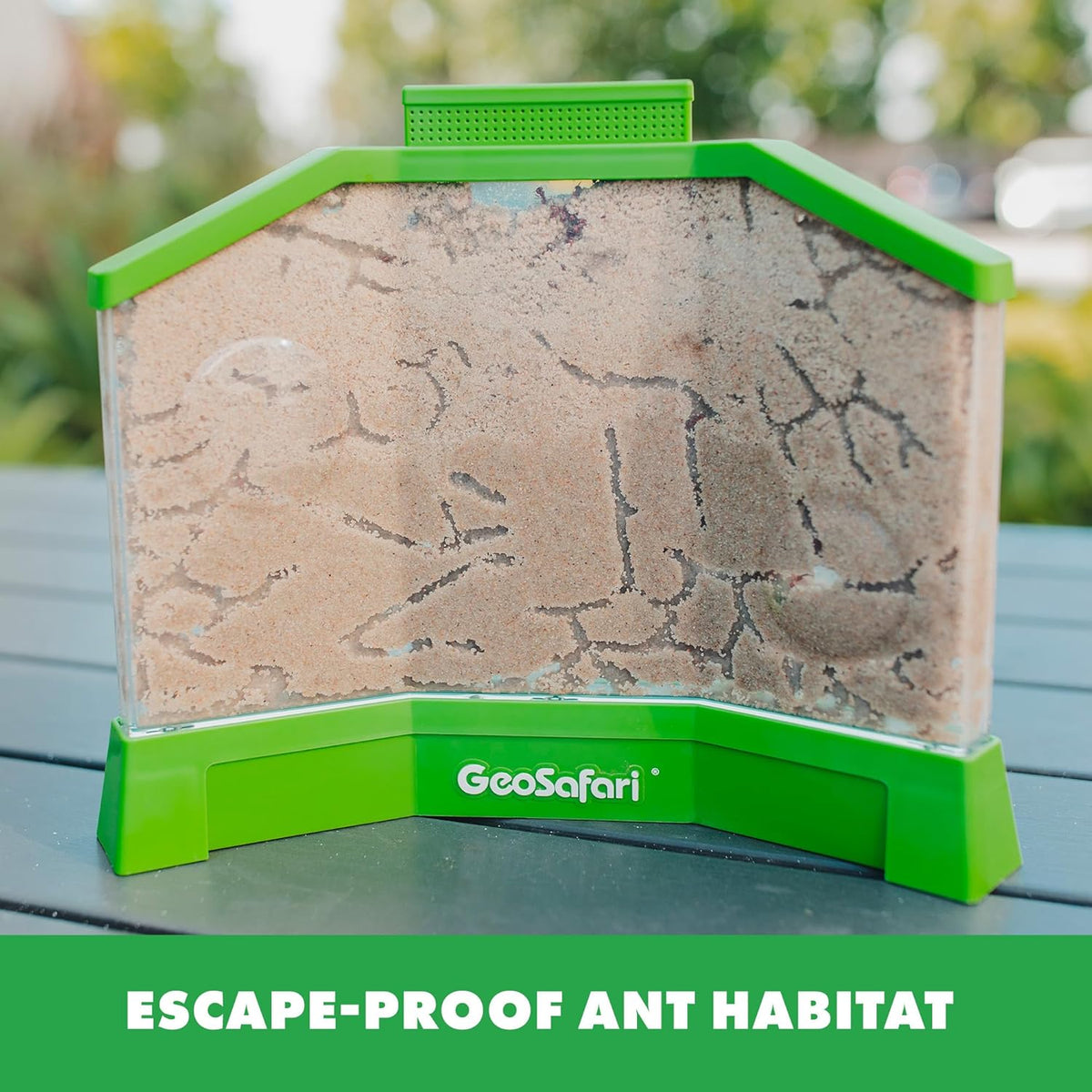 3D STEM Ant Farm