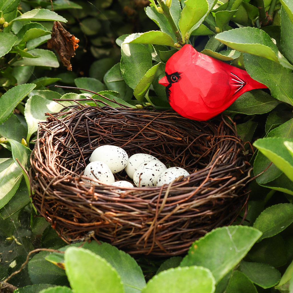 Handmade Bird Nest with Realistic Eggs — Natural Decor or Companion for Hand-Carved Bird Figures