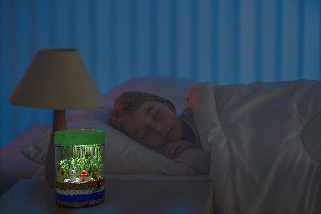 Educational Light-Up Terrarium Kit