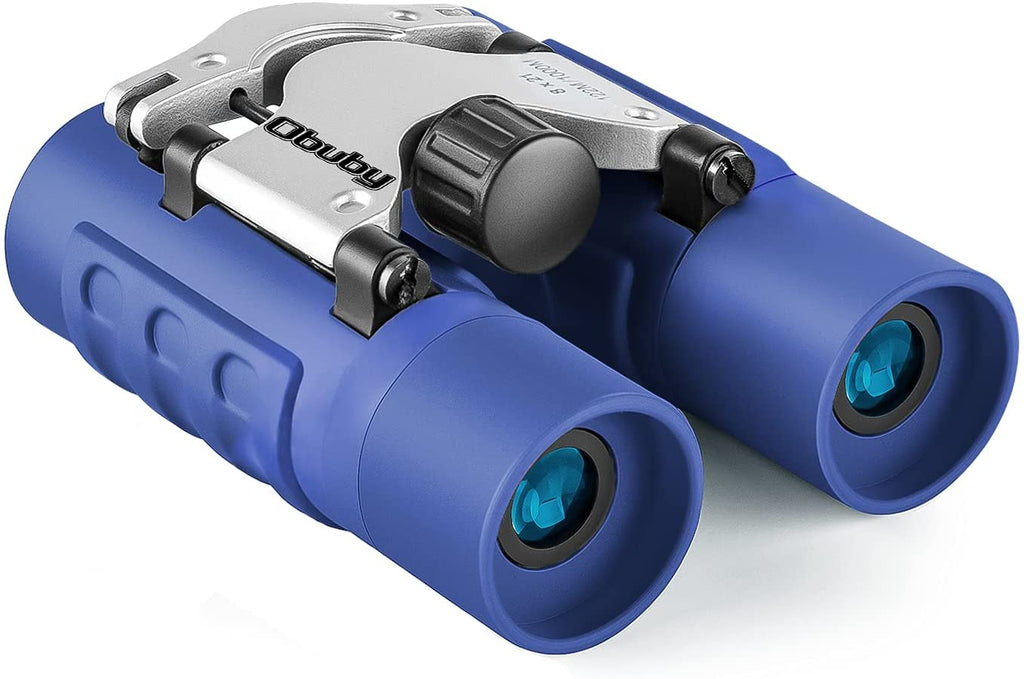 Vital Vision Dual Viewer