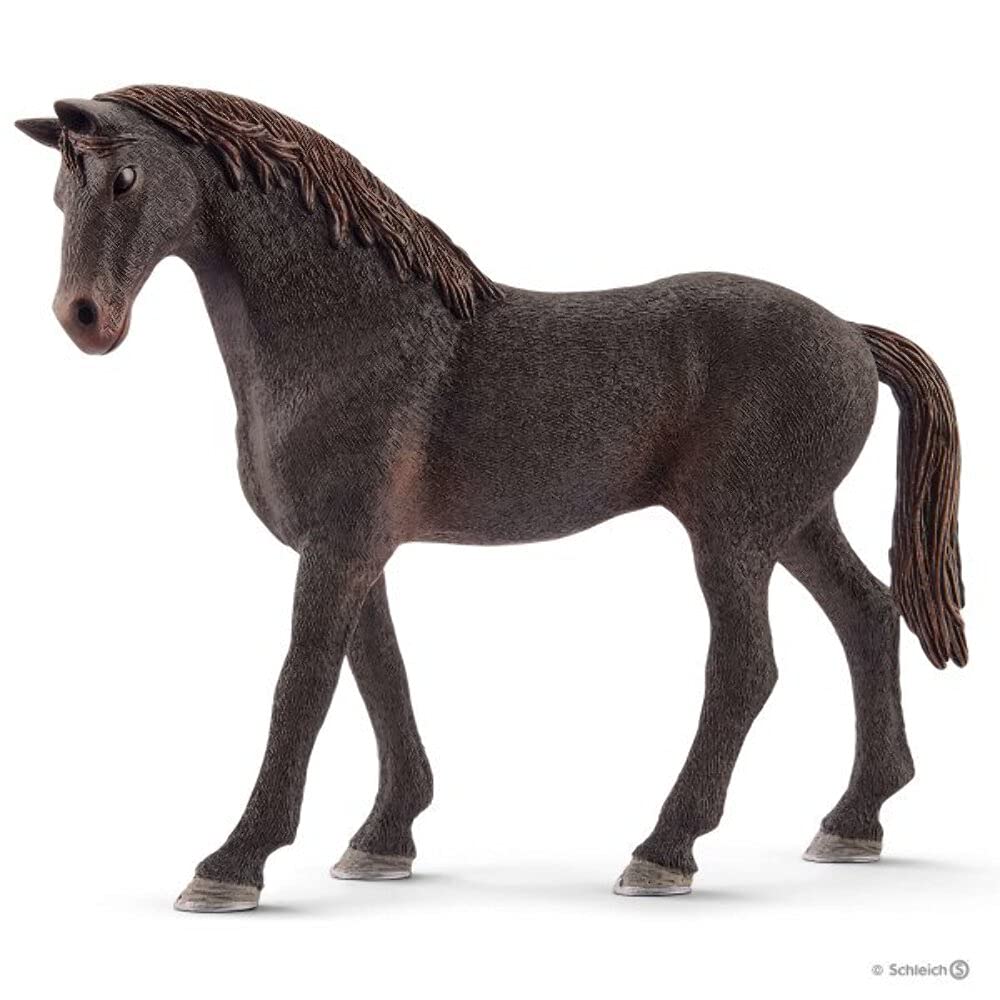 Horse Club Training Educational Playset