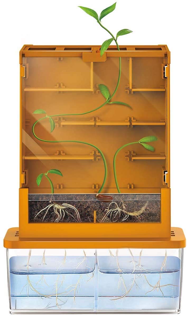 Plant Labyrinth Green Puzzle