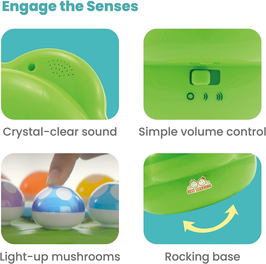 Interactive Learning Burgeon Garden
