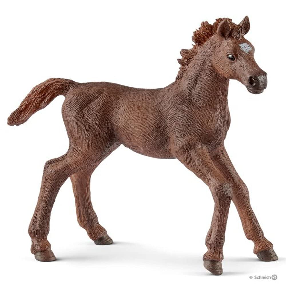 Horse Club Training Educational Playset
