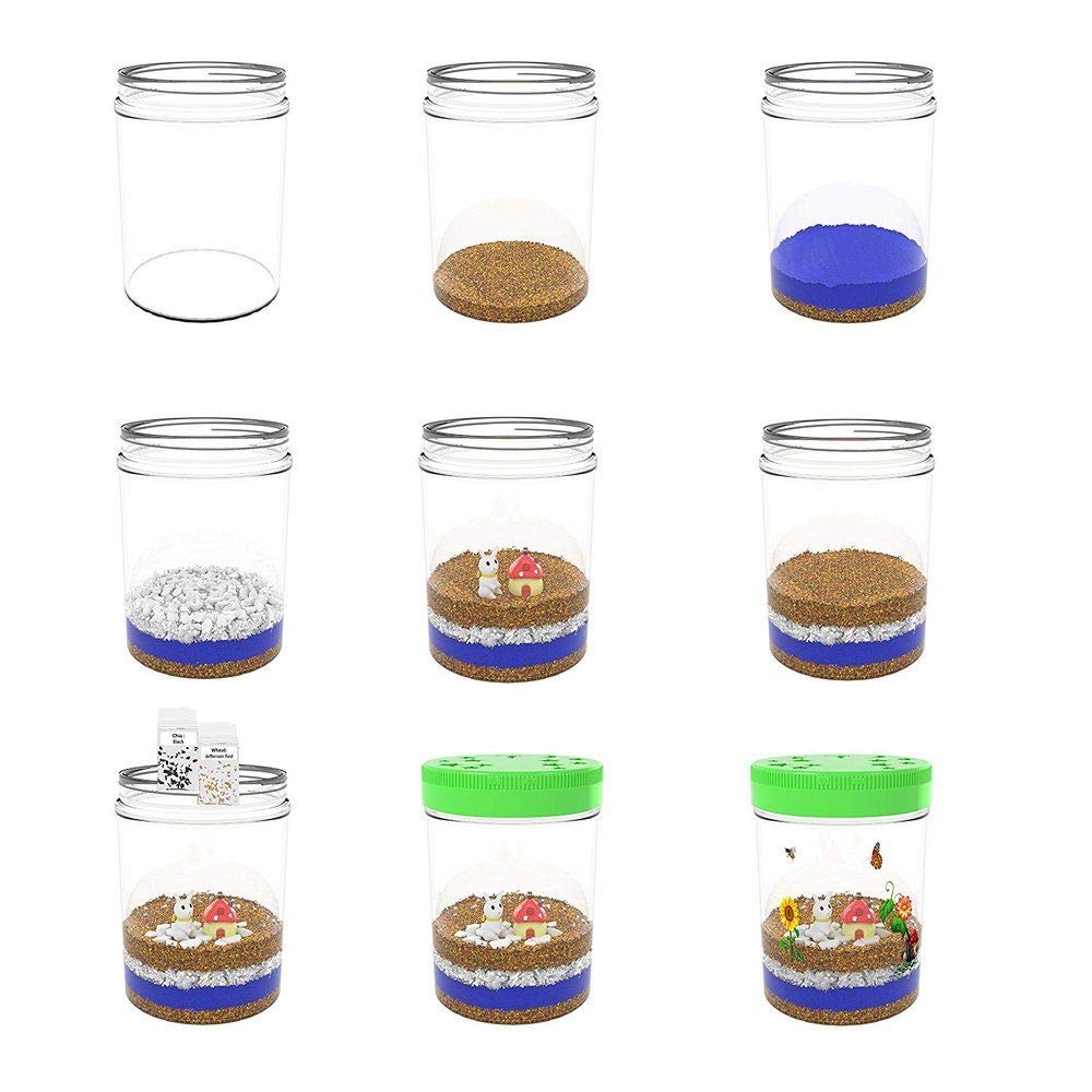 Educational Light-Up Terrarium Kit