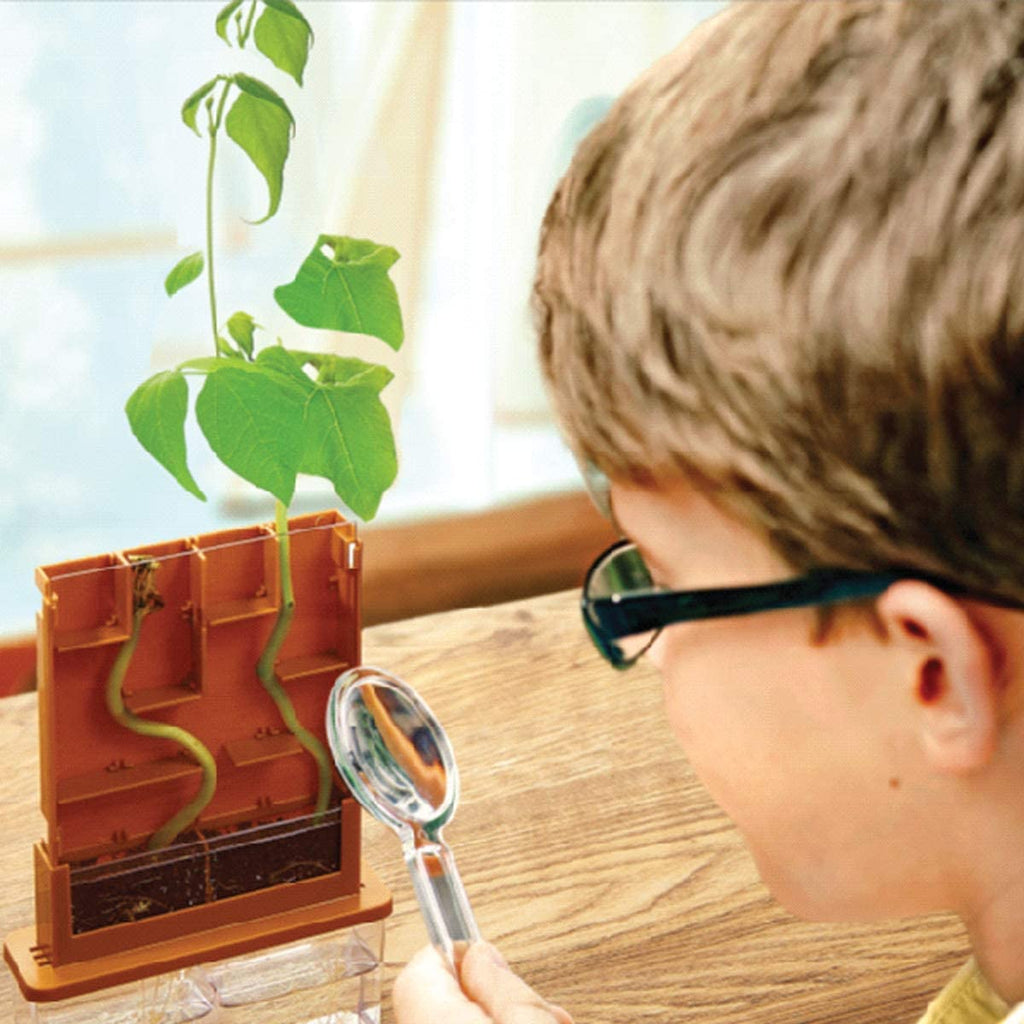 Plant Labyrinth Green Puzzle