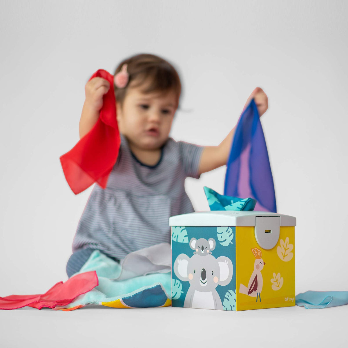 The Sensory Wonder Tissue Box