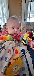 Garden Bug Baby Rattle Socks & Wrist Rattles Set