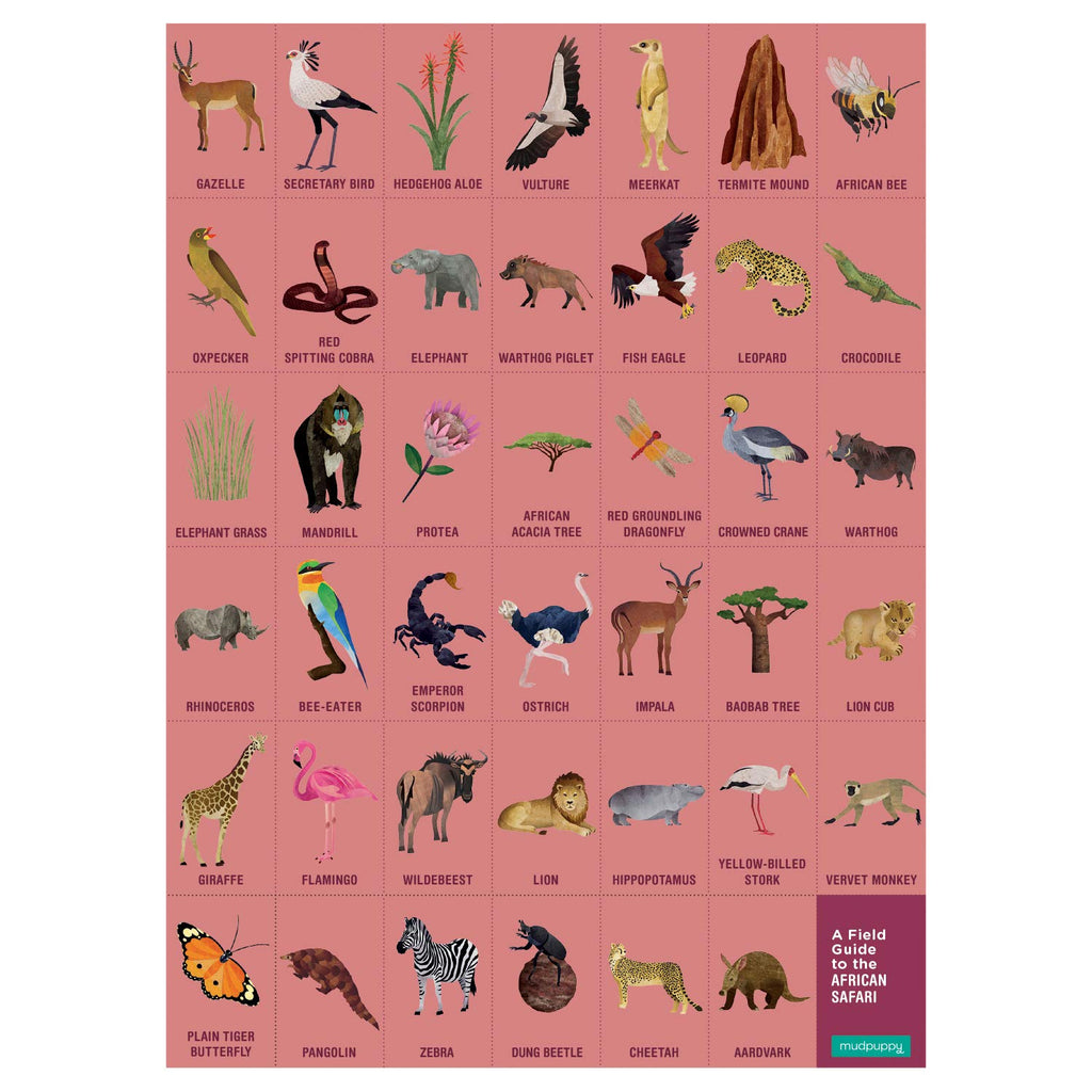Search and Find Illustrations of African Safari Puzzle