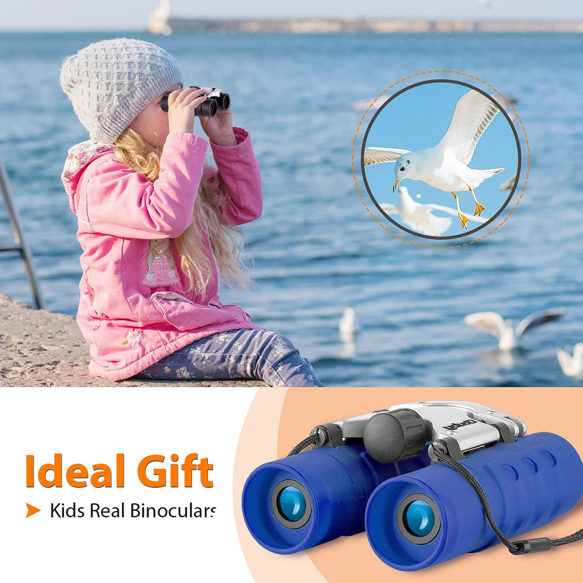 Vital Vision Dual Viewer