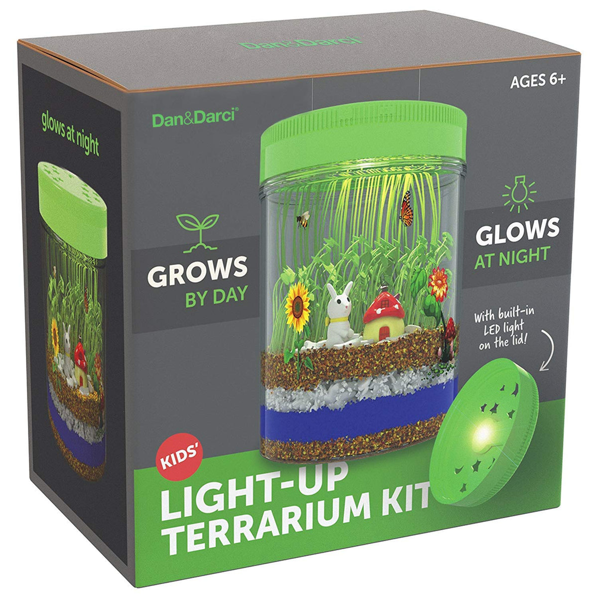 Educational Light-Up Terrarium Kit