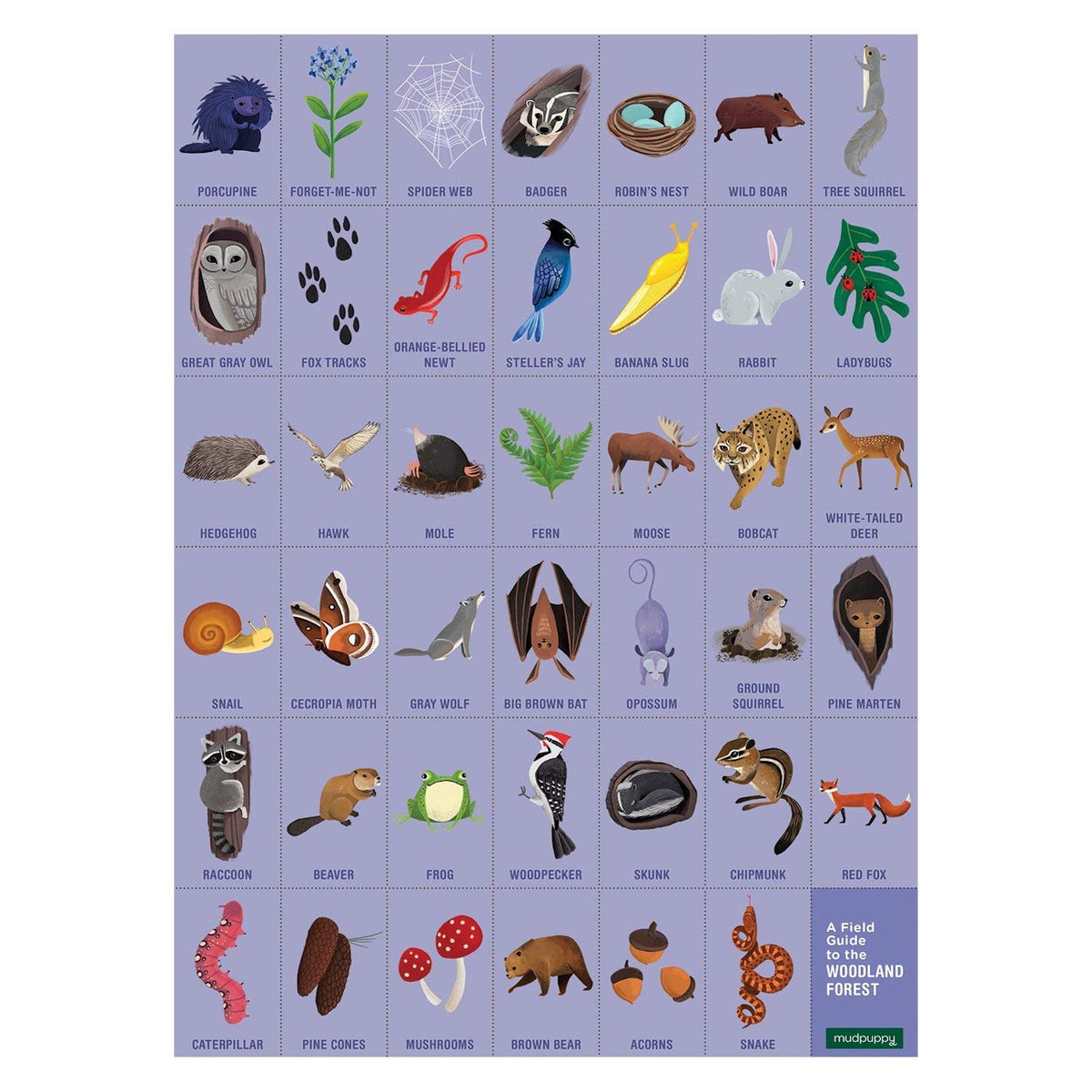 Woodland Search And Find Picturesque Puzzle