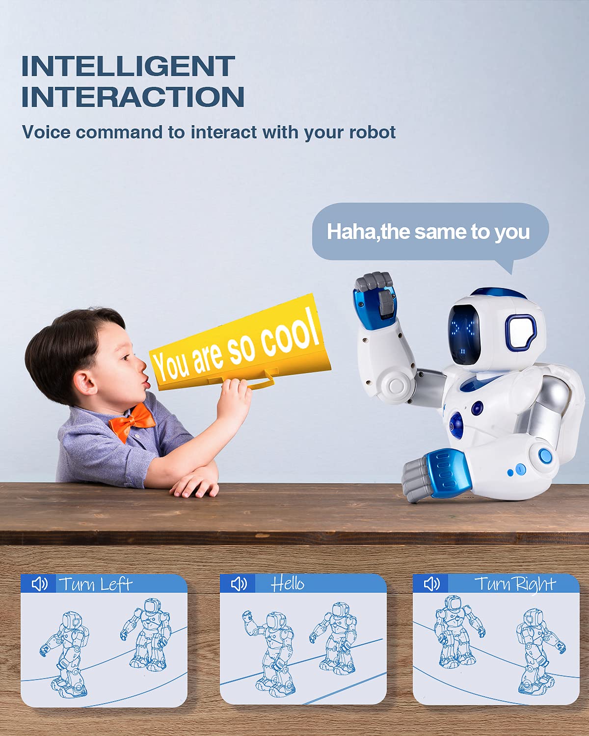 Interactive RC Dancing Robot