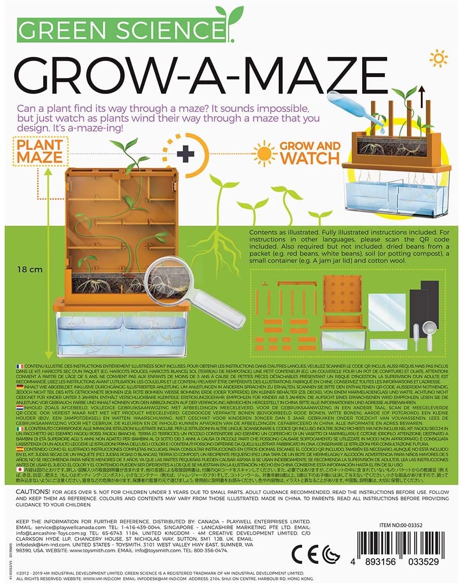 Plant Labyrinth Green Puzzle