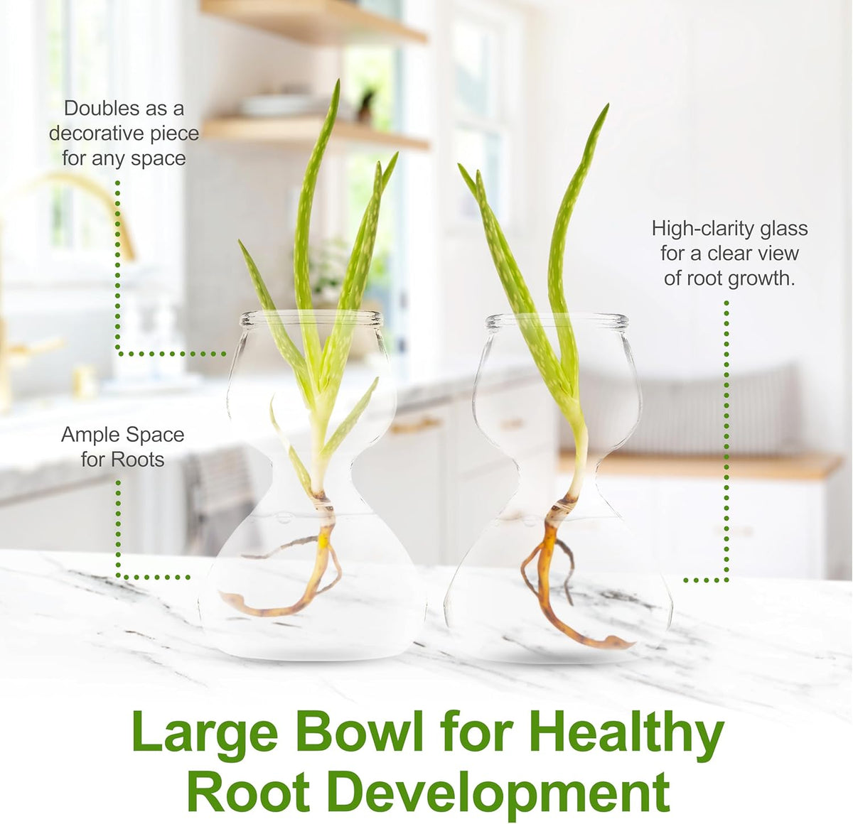 Clear Glass Bud Vases - Propagation Stations (Set of 4)