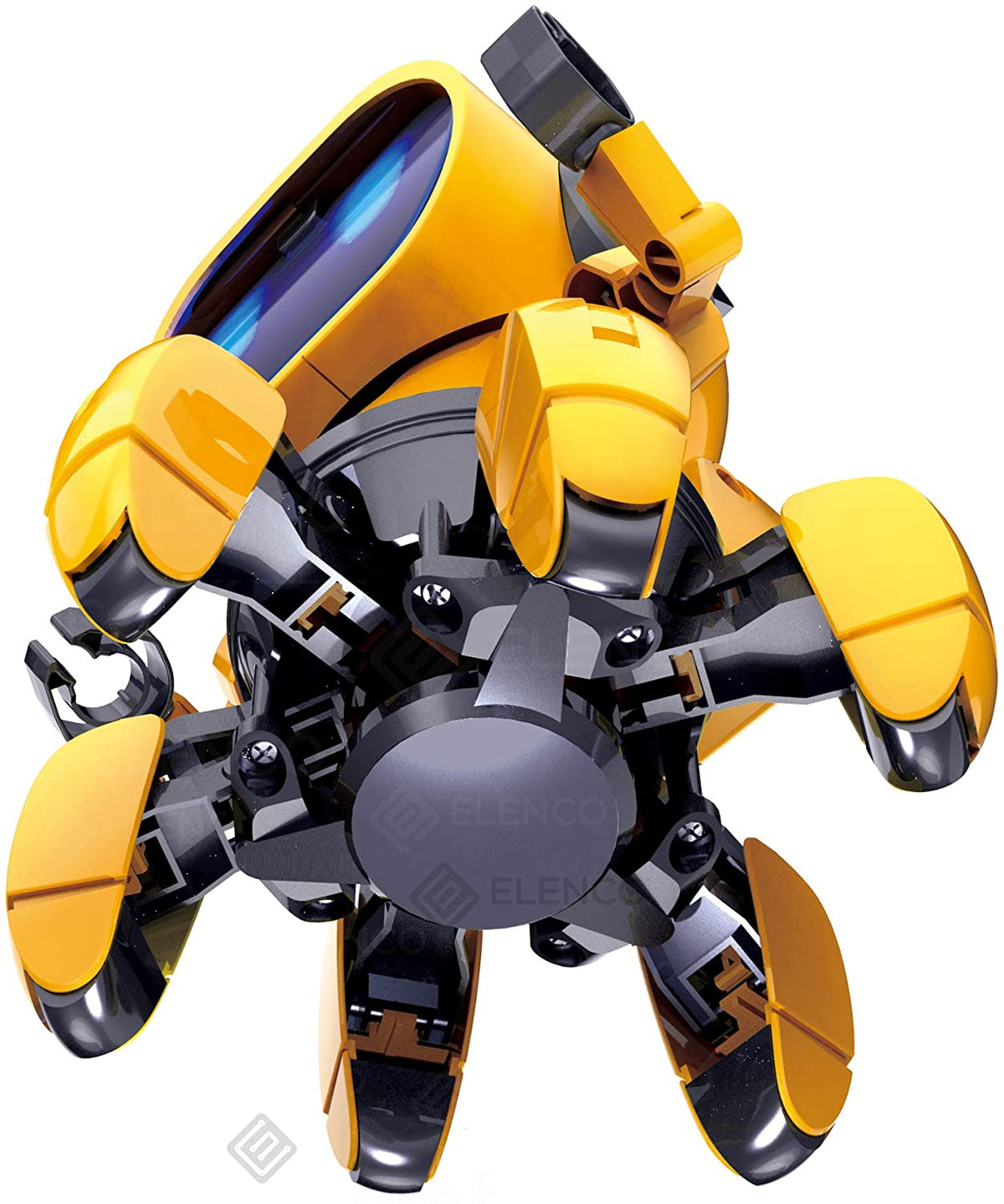 Robo Pal STEM Companion