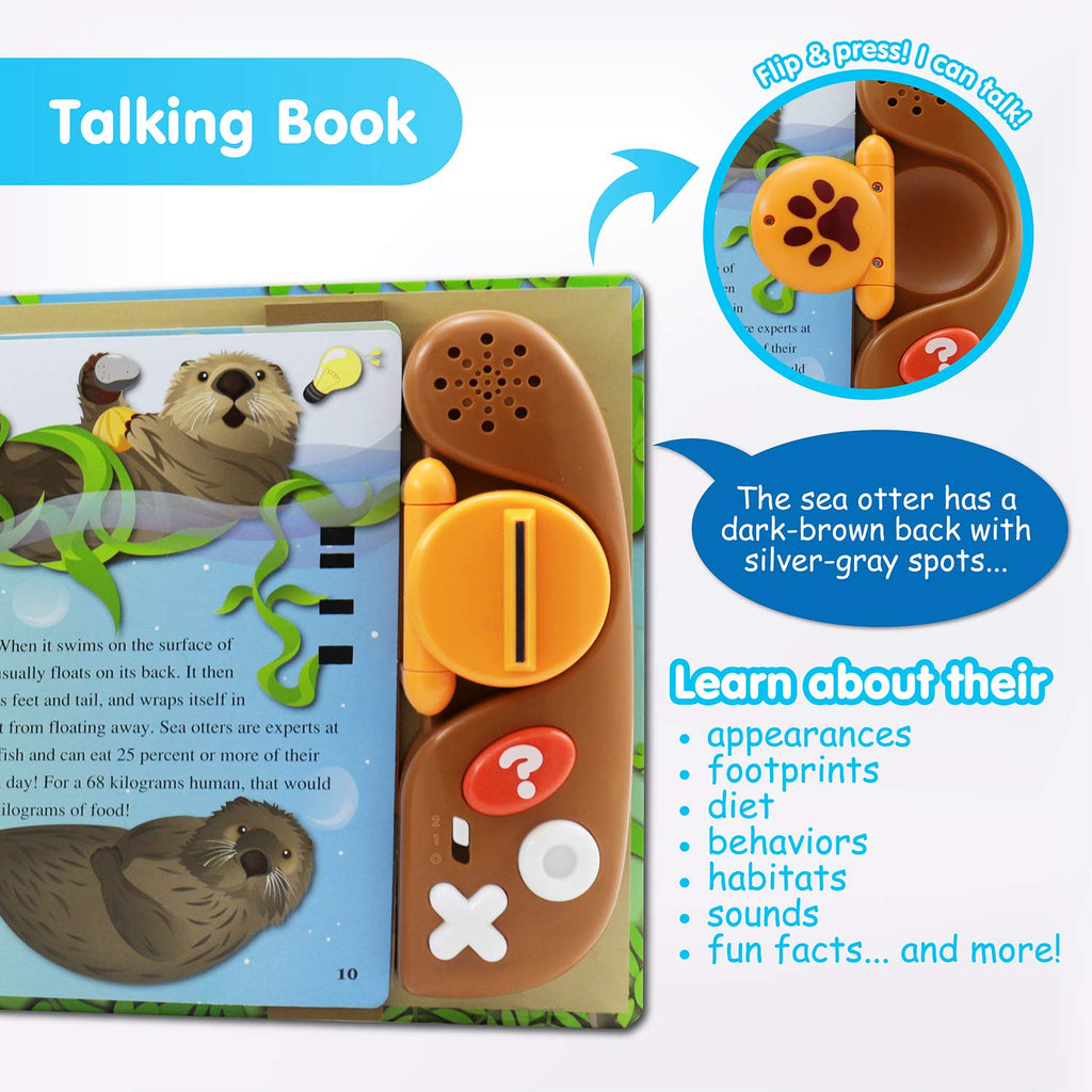 Flip N Read Animal Kingdom Reader