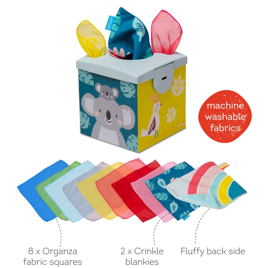 The Sensory Wonder Tissue Box