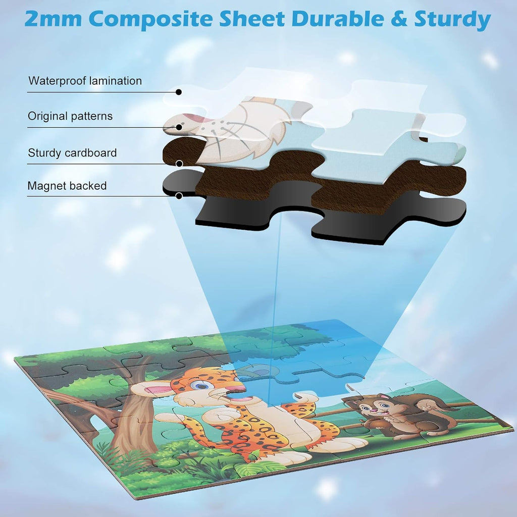 Beautiful Magnetic Puzzle