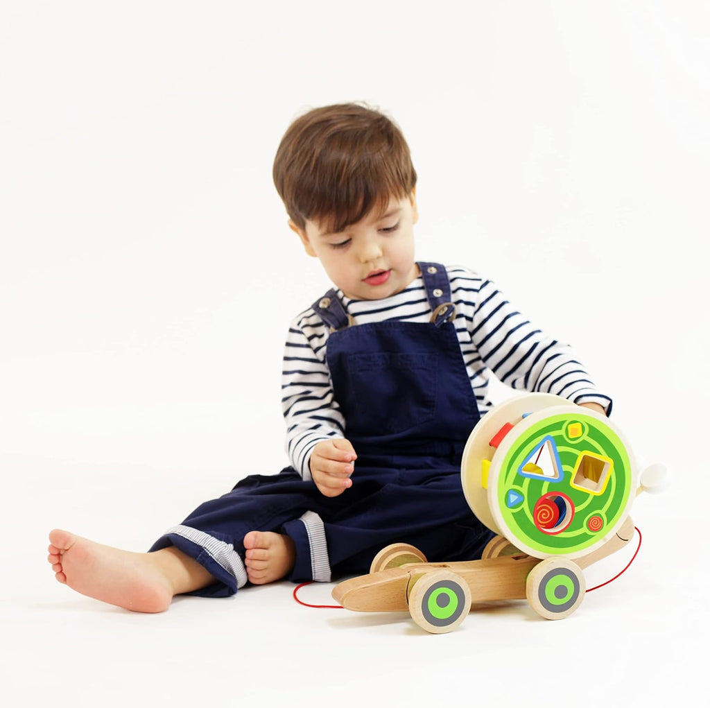 2-in-1 Wooden Snail Baby Push & Pull Walker