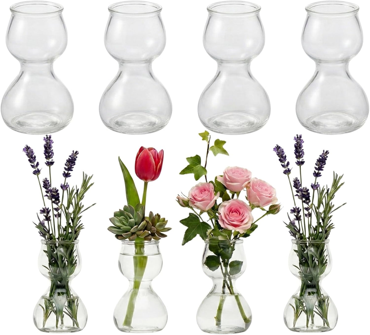 Clear Glass Bud Vases - Propagation Stations (Set of 8)