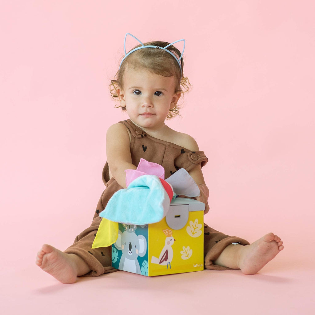 The Sensory Wonder Tissue Box