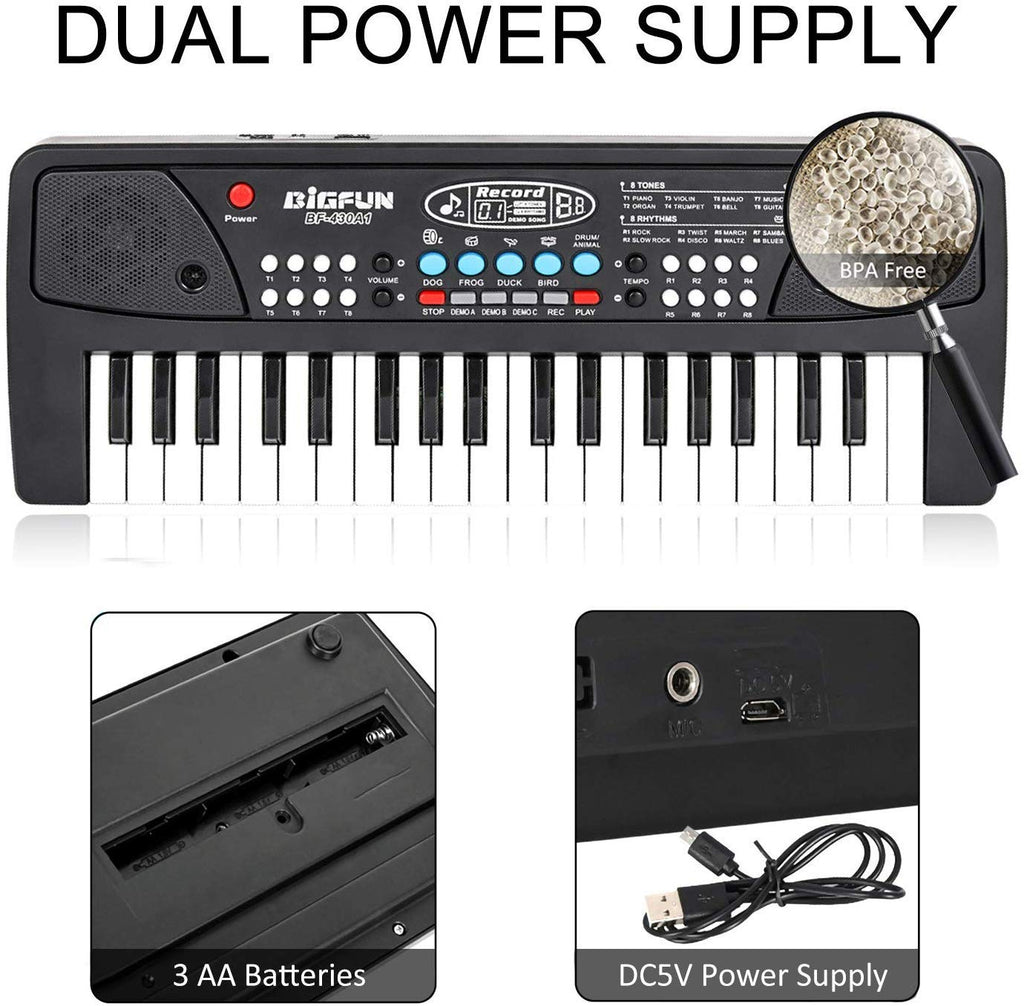 Portable Electronic Piano Keyboard