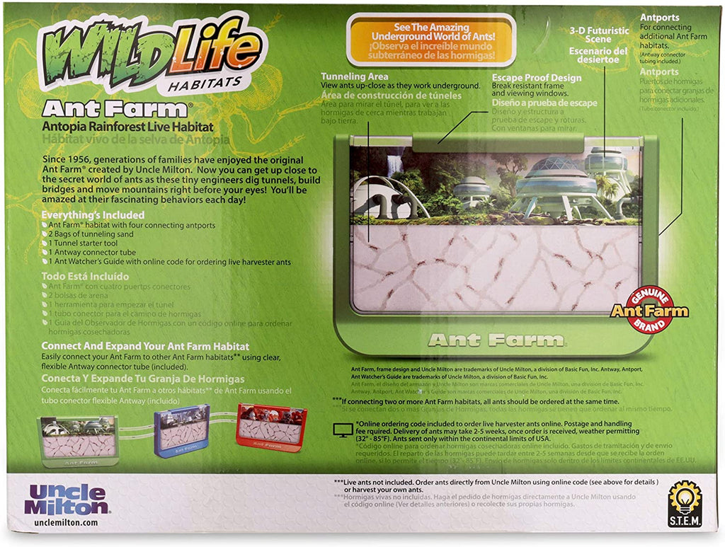 Ant Jungle Terrarium