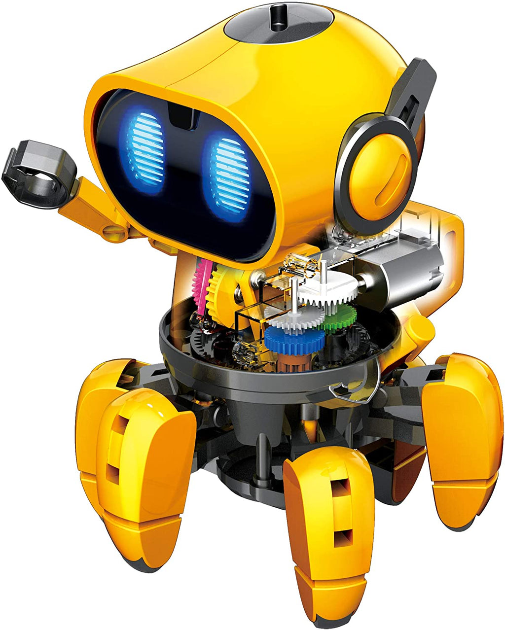 Robo Pal STEM Companion