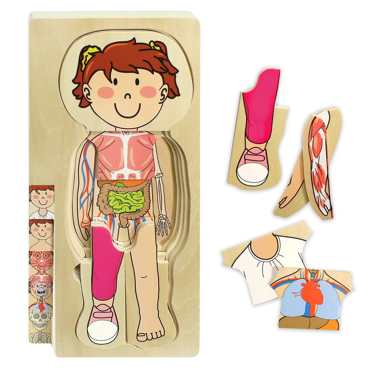 The Human Body Puzzle - Girl