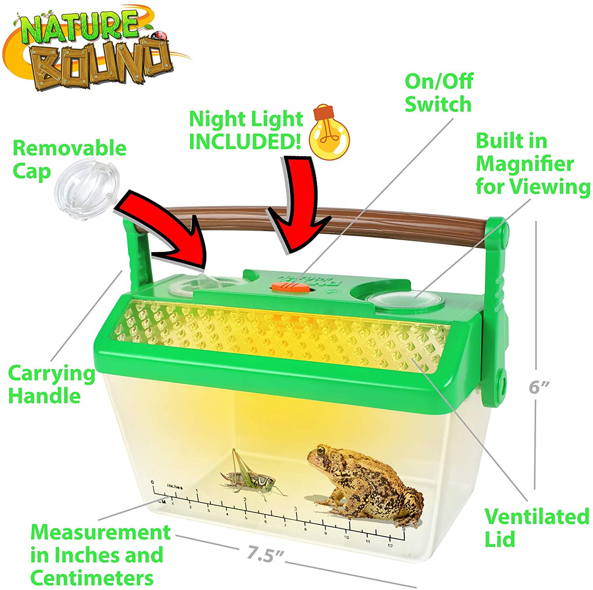 The Bug and Critter Apartment