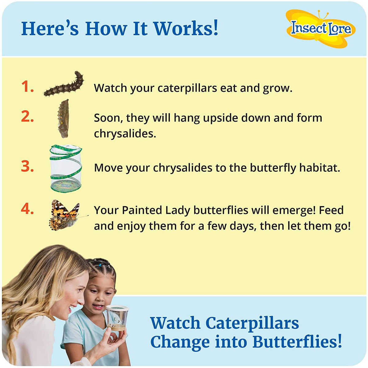 Butterfly Case STEM Observation