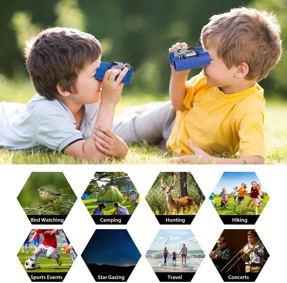 Vital Vision Dual Viewer