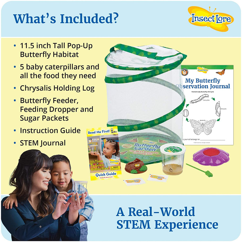 Butterfly Case STEM Observation
