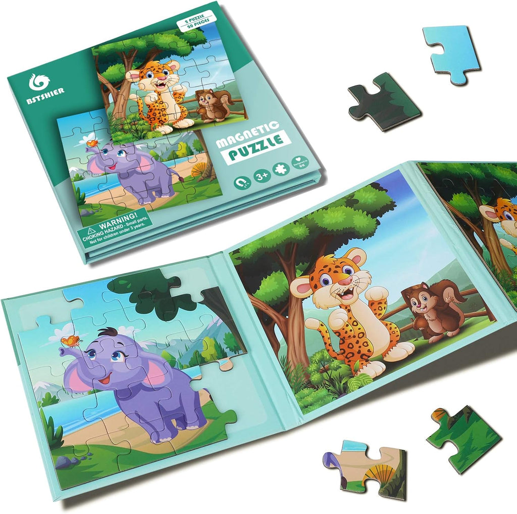 Beautiful Magnetic Puzzle