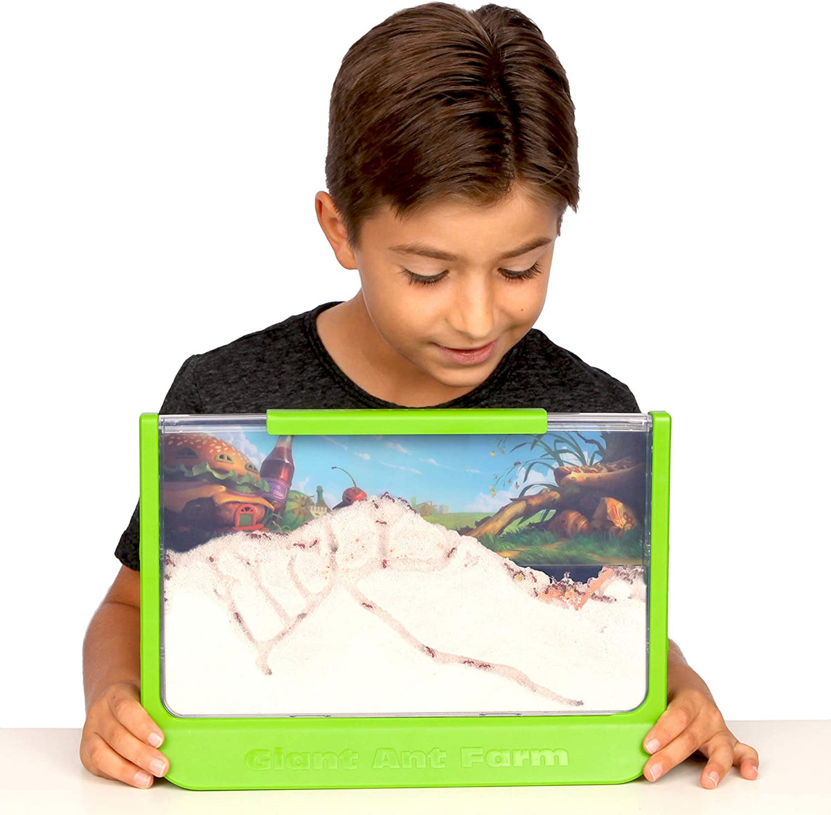 Mega Ant STEM Settlement