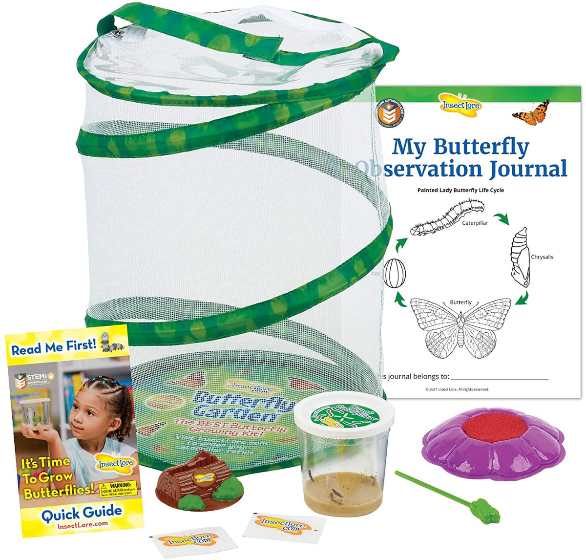 Butterfly Case STEM Observation