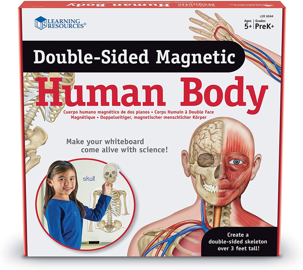 The Wonder of the Magnetic Being