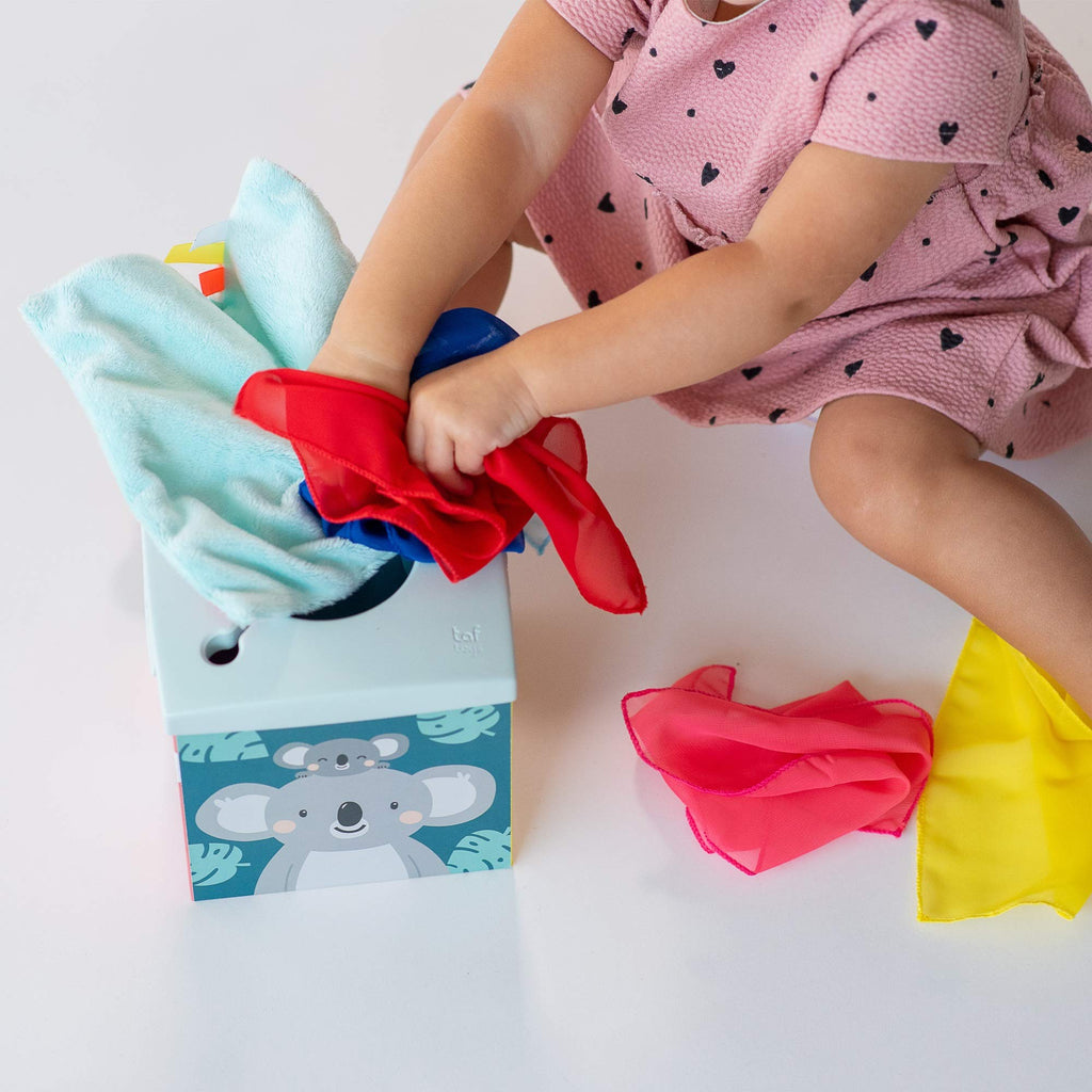 The Sensory Wonder Tissue Box