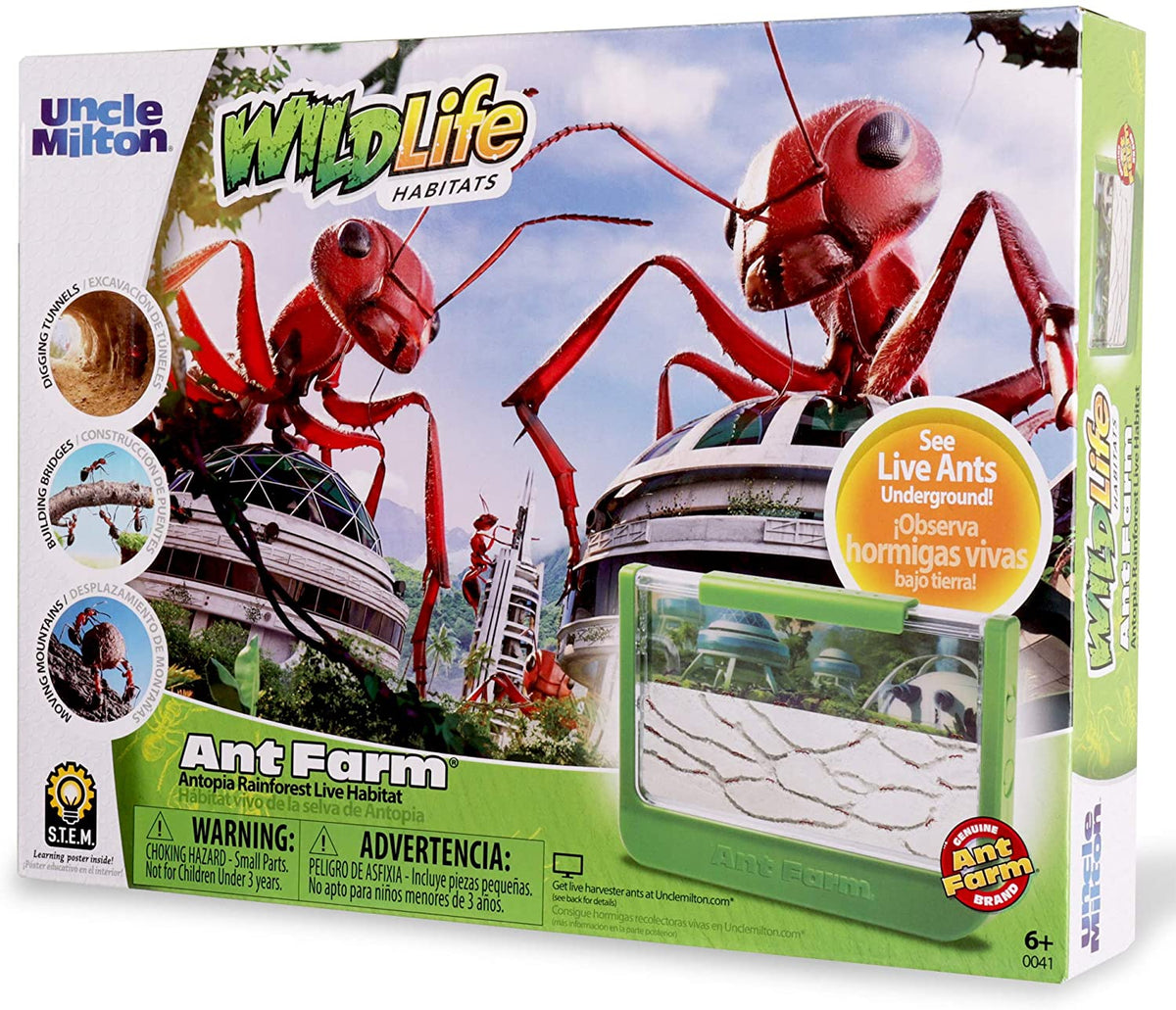 Ant Jungle Terrarium