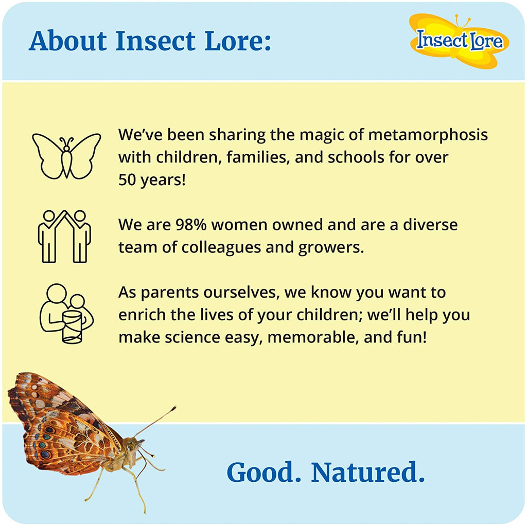 Butterfly Case STEM Observation