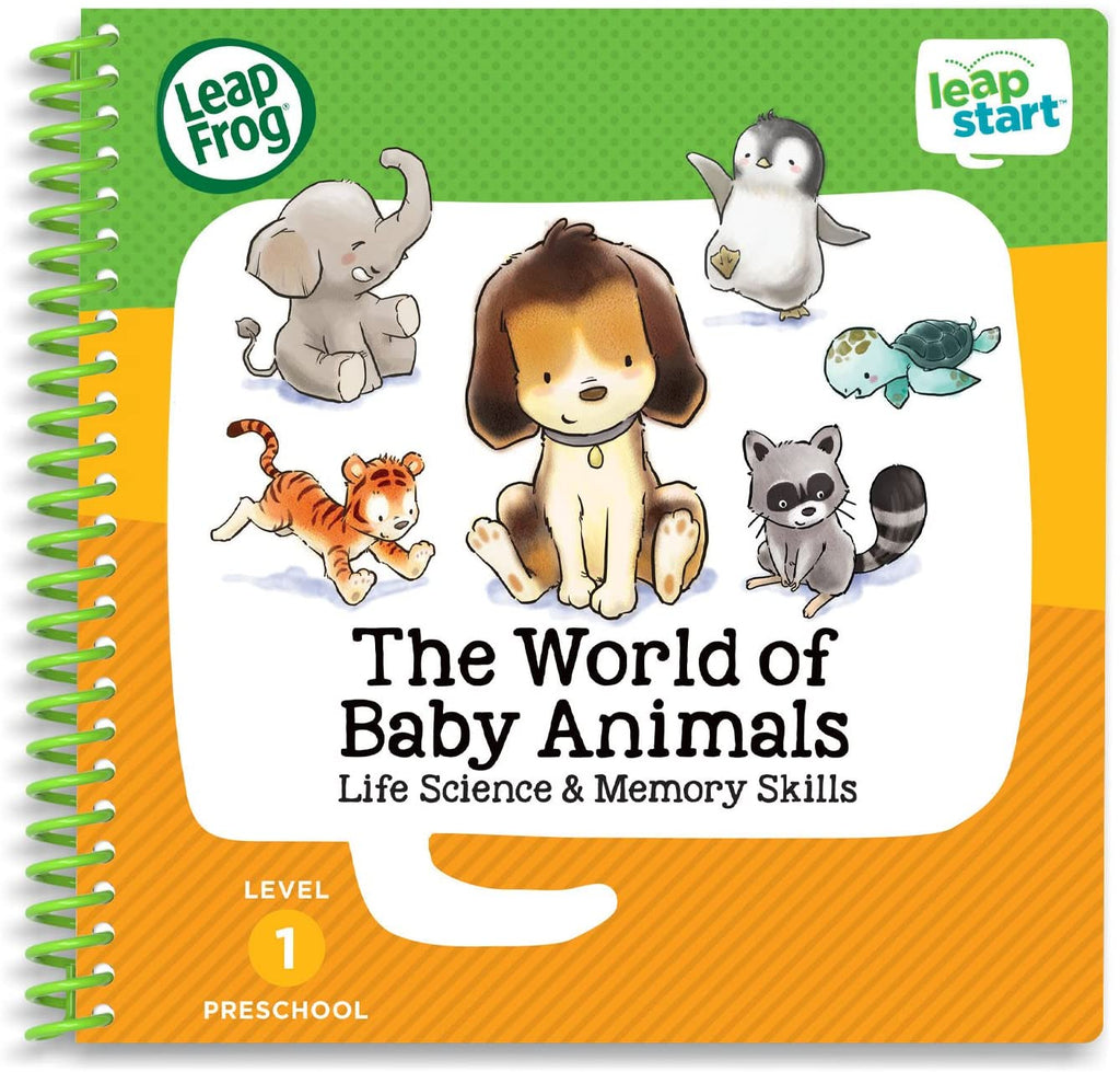 Jumping Toad Language Learners