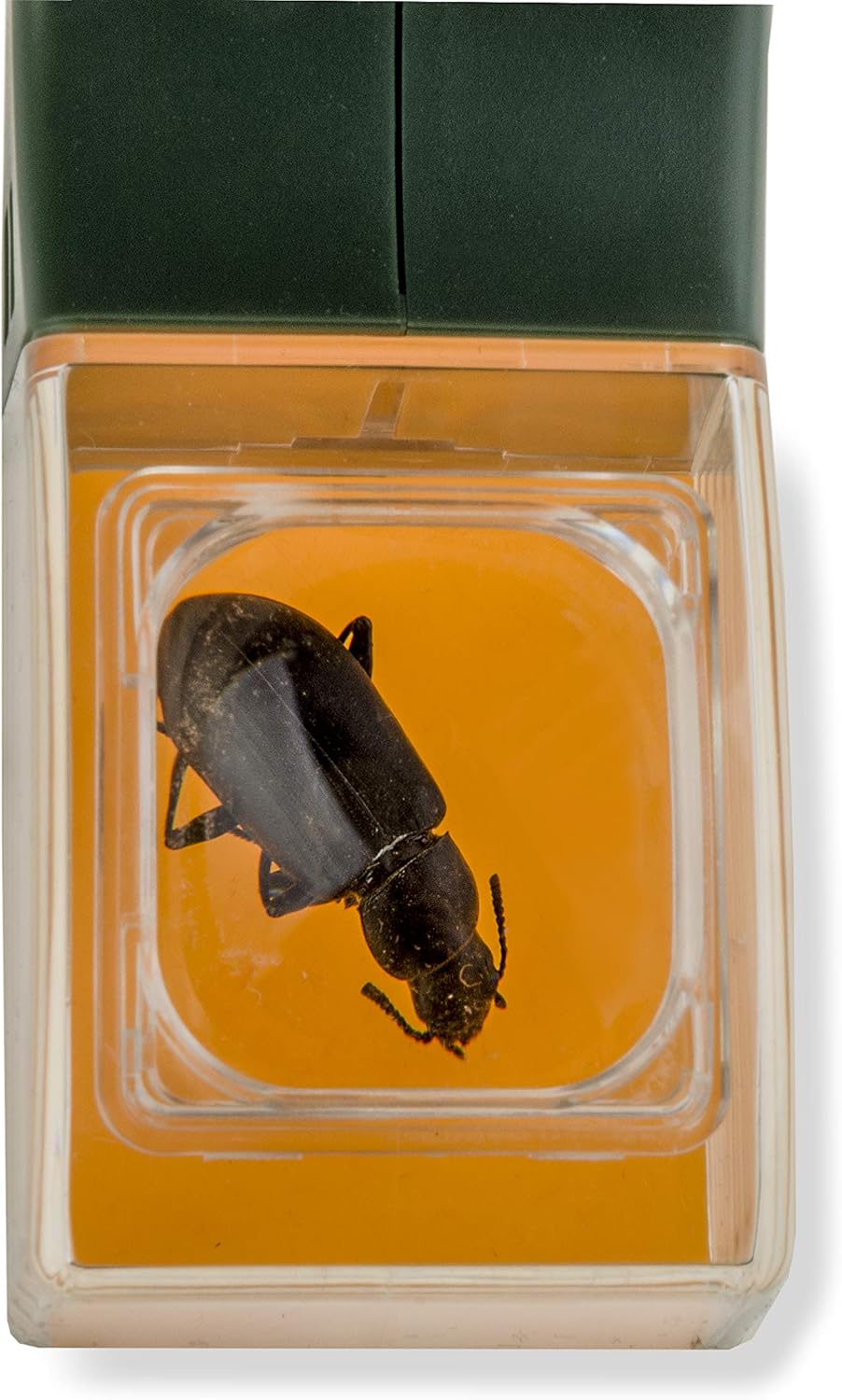 Bugworld Super Viewer