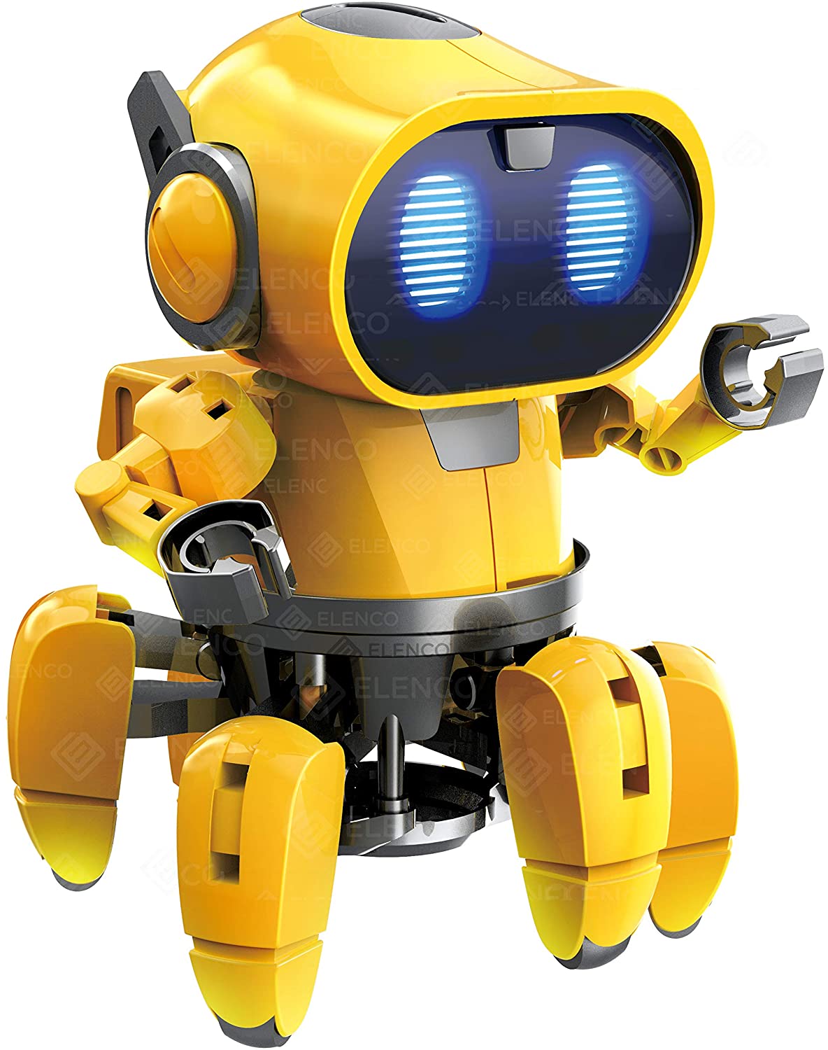 Robo Pal STEM Companion