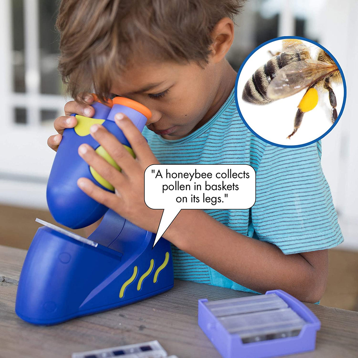Tiny Adventurers STEM Microscope