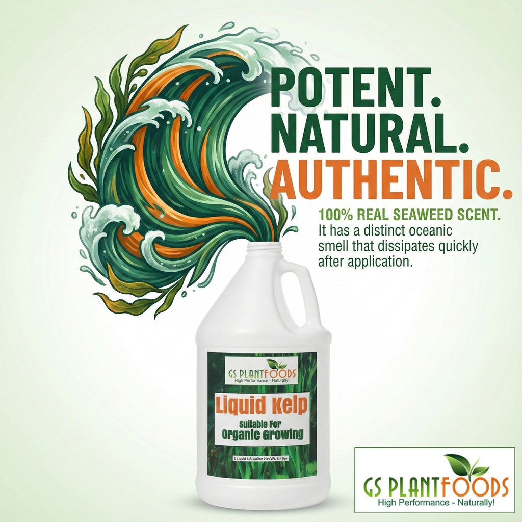 Organic Liquid Kelp Seaweed